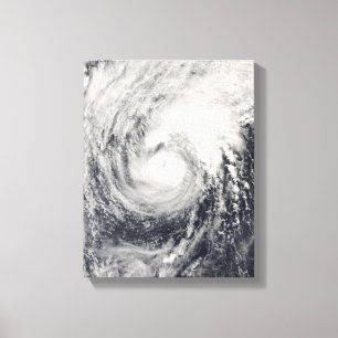 Typhoondelfin i det filippinska havet canvastryck