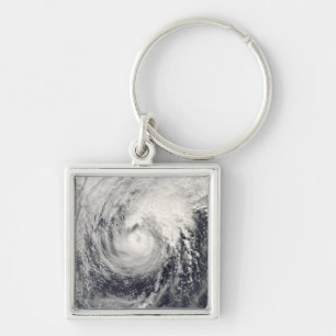 Typhoondelfin i det filippinska havet fyrkantig silverfärgad nyckelring