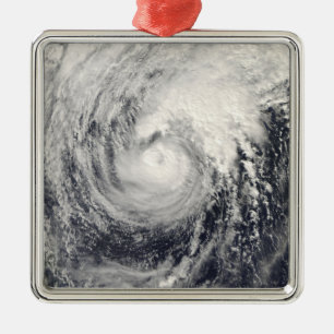 Typhoondelfin i det filippinska havet julgransprydnad metall