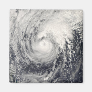 Typhoondelfin i det filippinska havet magnet