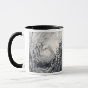 Typhoondelfin i det filippinska havet mugg