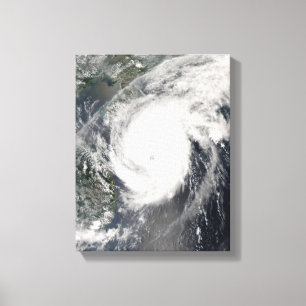 TyphoonNeoguri annalkande china 2 Canvastryck