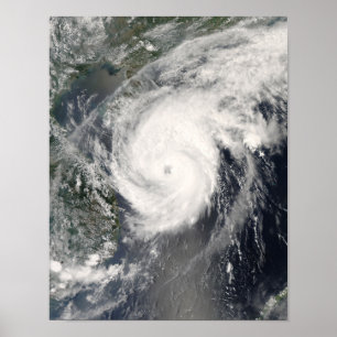 TyphoonNeoguri annalkande china 2 Poster