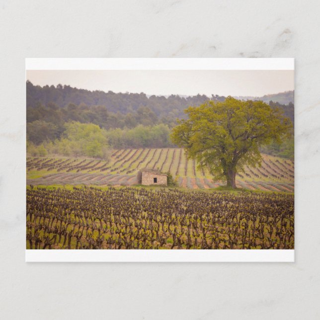 Typically french vykort (Framsida)