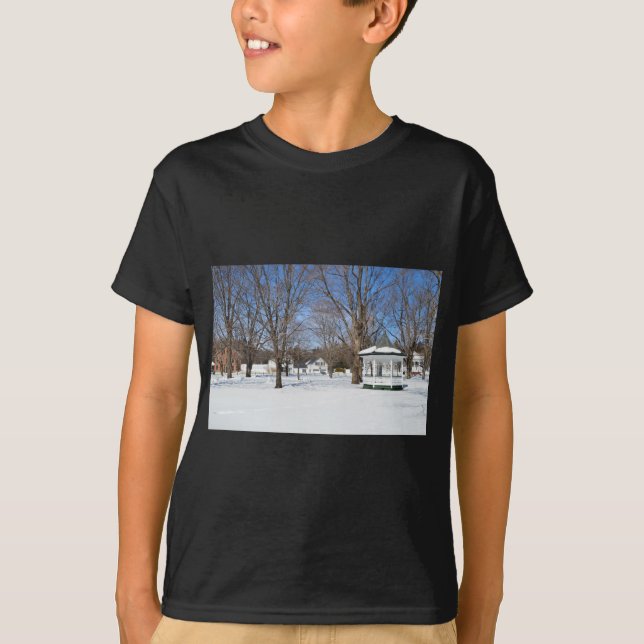 Typisk Vermontstad på vintern T-shirt (Framsida)