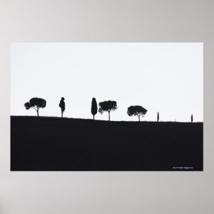 Typiska träd i Tuscany Poster