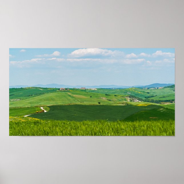 Typiskt liggande för Toscana Poster (Framsidan)