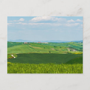 Typiskt liggande i Toscana med Backe - Italien Vykort