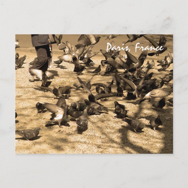 Typiskt parisiskt scen vykort (Framsida)