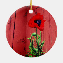 Typiskt svenskt Falun red färg