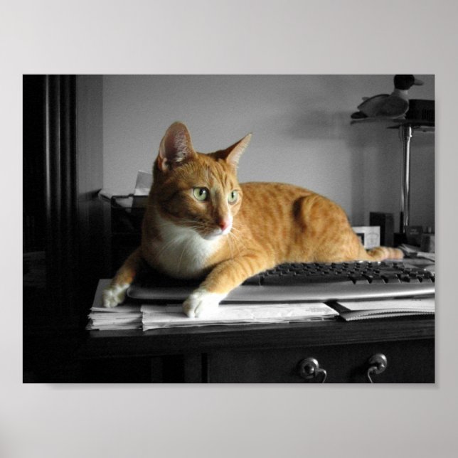 Typist Poster (Framsidan)