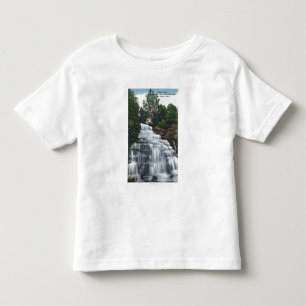 Tyrannisera nedgångar nära Seneca som sjön T Shirt
