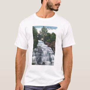 Tyrannisera nedgångar nära Seneca som sjön Tee Shirt