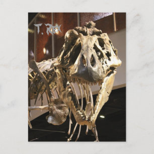 Tyrannosaurus # 4 vykort