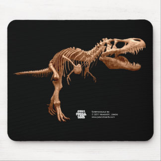 Tyrannosaurus Rex Musmatta