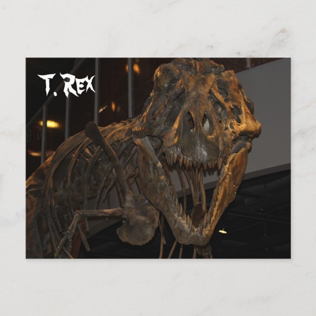 Tyrannosaurus Rex nr 5 Vykort (Framsida)