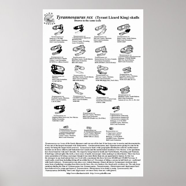 Tyrannosaurus rex poster (Framsidan)