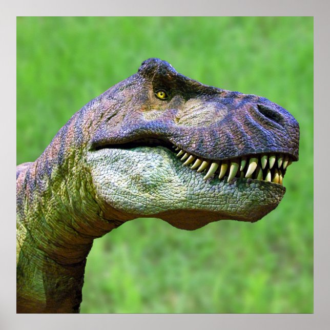 Tyrannosaurus Rex Poster (Framsidan)