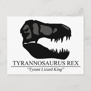 Tyrannosaurus Rex Skull Vykort