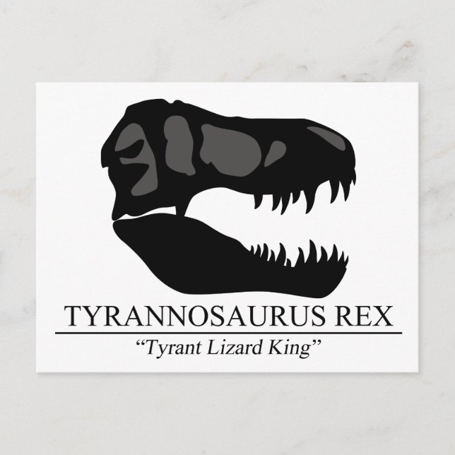 Tyrannosaurus Rex Skull Vykort (Framsida)