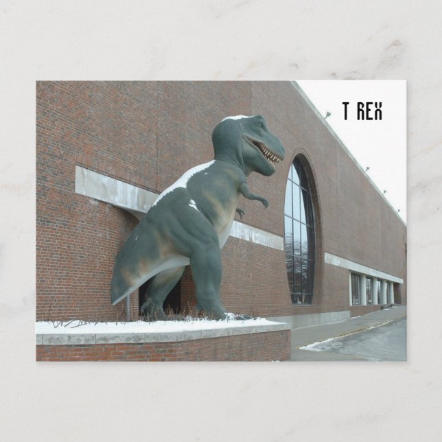 Tyrannosaurus Rex Vykort (Framsida)