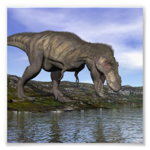 Tyrannosaurusrexdinosaur - 3D framför Fototryck