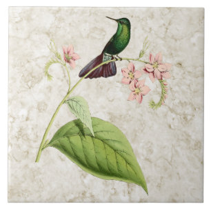 Tyrian Metall Svan Hummingbird Ceramic Tile Kakelplatta