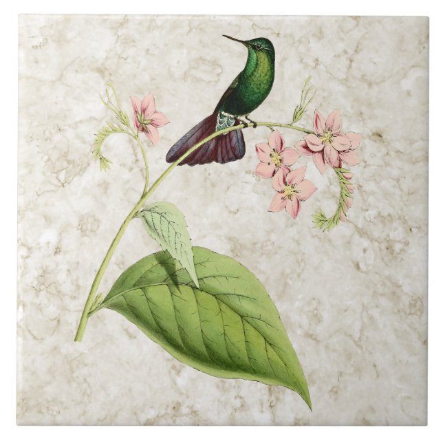 Tyrian Metall Svan Hummingbird Ceramic Tile Kakelplatta (Framsidan)