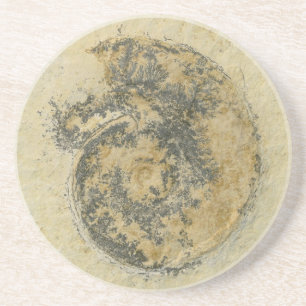 Tysk Ammonite med Dendrites Underlägg Sandsten