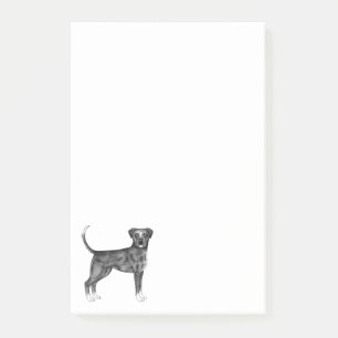Tysk Boxer Hund Illustration i Svart Och Vitt Post-it Block