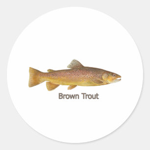 Tysk Brown Trout Runt Klistermärke