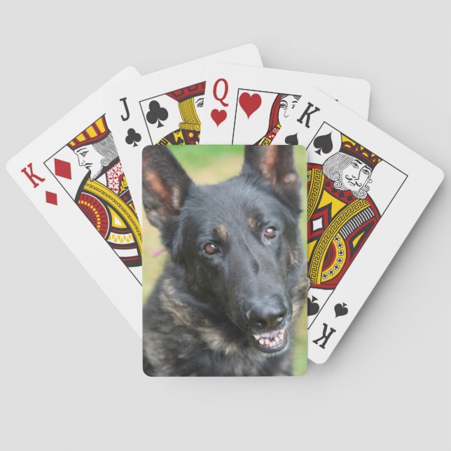 Tysk herde casinokort (Baksidan)