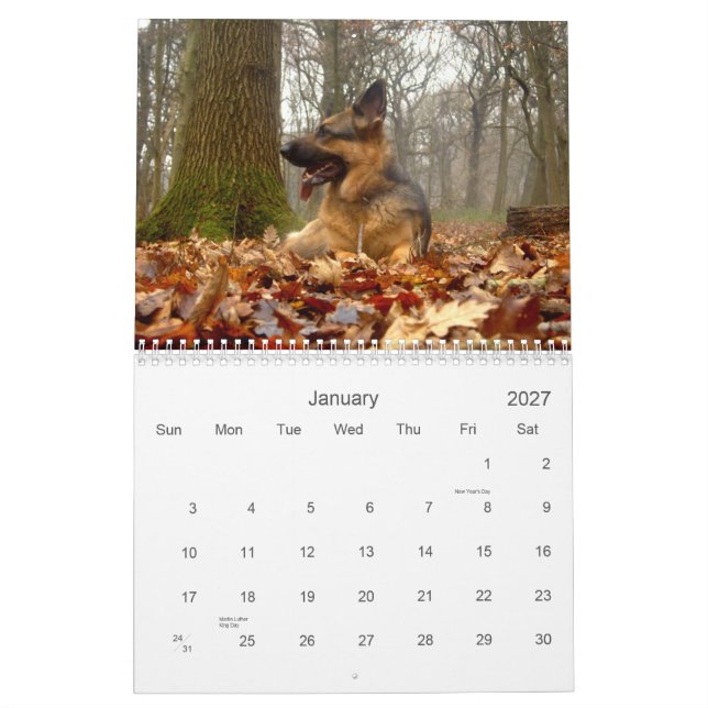 Tysk herde (GSD)kalender Kalender (Jan 2027)