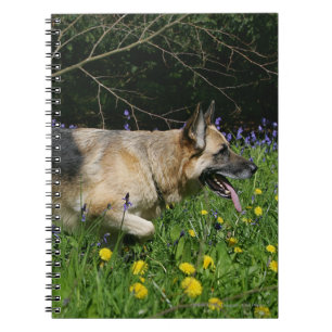 Tysk herde i gula blommor anteckningsbok med spiral