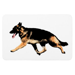 Tysk herde magnet