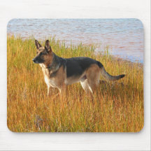 Tysk herde Mousepad för Purebred