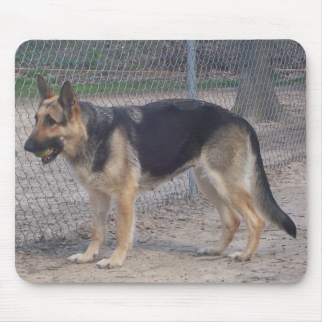 Tysk herde Mousepad Musmatta (Framsidan)
