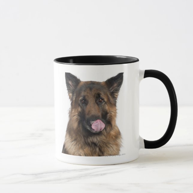 Tysk herde mugg (Höger)