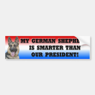 Tysk herde som är mer smart än president bildekal