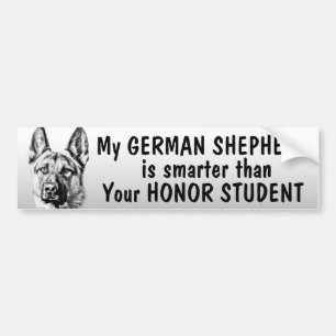 Tysk herde - som är mer smart än student - som bildekal