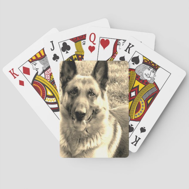 Tysk herde som leker kort casinokort (Baksidan)