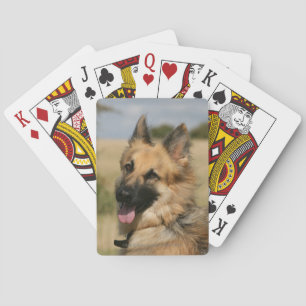 Tysk herde som ut klibbar tungan spel kort