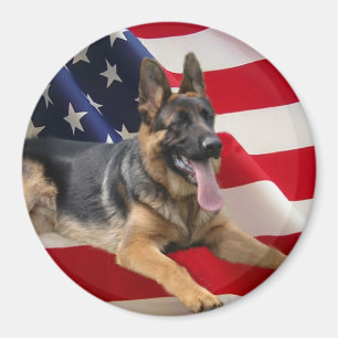 Tysk herdeAmerika magnet