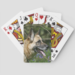 Tysk herdeHeadshot 3 Casinokort