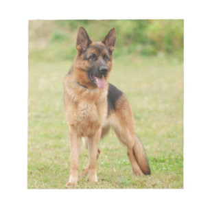 Tysk herdehund anteckningsblock