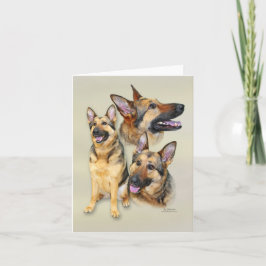 Tysk herdehund kort