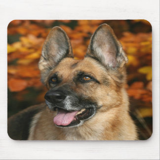 Tysk herdehund Mousepad Musmatta