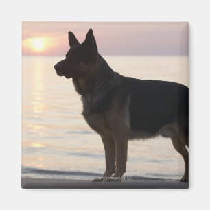 Tysk herdehund på den georgiska fjärden, Ontario Magnet