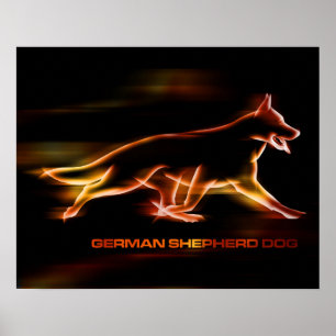 Tysk herdehund - poesi i rörelse poster
