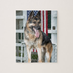 Tysk herdehund pussel